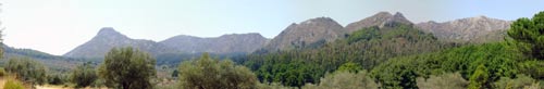 Panorama