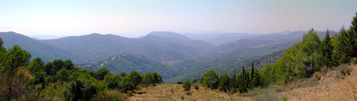 Panorama