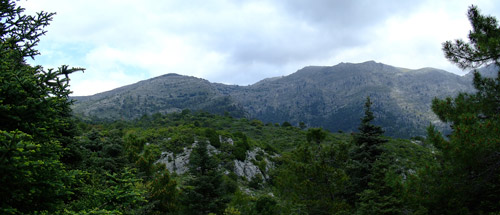 Panorama