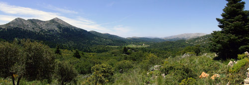 Panorama