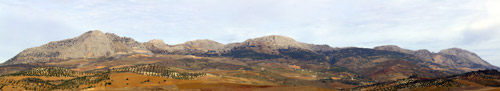Panorama