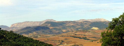 Panorama