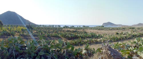 Panorama