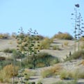 Landschaft Landschaft